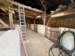 Stall - Bauernhof mit Wohnbebauung, Pferdestall und angrenzender Koppel auf großzügigem Grundstück 9716 qm